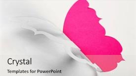  Presentation with happy birthday mama greeting card - Presentation theme featuring cutout paper butterfly as greeting background and a  colored foreground