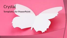  Presentation with greeting card - Slide set featuring cutout paper butterfly as greeting background and a coral colored foreground