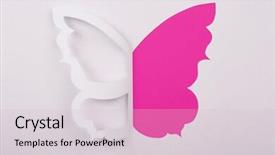  Presentation with greeting card - Audience pleasing presentation consisting of cutout paper butterfly as greeting backdrop and a lemonade colored foreground