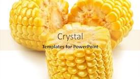  Presentation with maize - PPT theme consisting of cuts-of-maize-cob background and a yellow colored foreground