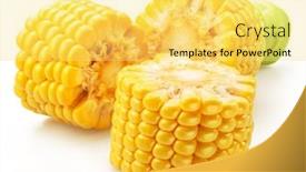  Presentation with maize - Slides having cuts-of-maize-cob background and a yellow colored foreground