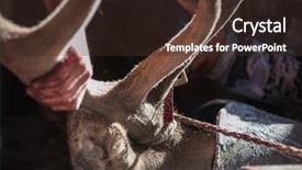  Presentation with traditional medicine medicine - Beautiful slides featuring traditional medicine of the world backdrop and a tawny brown colored foreground