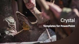  Presentation with traditional medicine medicine - Colorful PPT layouts enhanced with traditional medicine of the world backdrop and a wine colored foreground