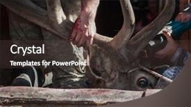  Presentation with traditional medicine medicine - Audience pleasing theme consisting of traditional medicine of the world backdrop and a tawny brown colored foreground