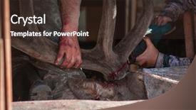  Presentation with traditional medicine medicine - PPT layouts featuring traditional medicine of the world background and a tawny brown colored foreground