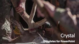  Presentation with traditional medicine medicine - Colorful slide set enhanced with traditional medicine of the world backdrop and a wine colored foreground