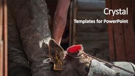  Presentation with traditional medicine medicine - Beautiful theme featuring traditional medicine of the world backdrop and a wine colored foreground
