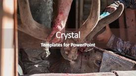  Presentation with traditional medicine medicine - Colorful slide deck enhanced with traditional medicine of the world backdrop and a tawny brown colored foreground