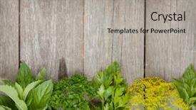  Presentation with wood board - Slide deck consisting of cutting board - herbs selection aromatic ingredients background and a light gray colored foreground