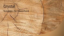  Presentation with wood texture - Presentation theme having cutting edge - wood texture background and a coral colored foreground