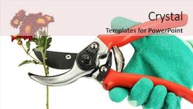  Presentation with flower - Amazing PPT theme having cutting flower with pruning shears backdrop and a  colored foreground
