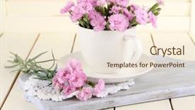  Presentation with pink - PPT layouts having cutting flowers - many small pink cloves background and a  colored foreground
