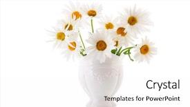  Presentation with history earth globe isolated white - PPT theme having cutting flowers - white daisies isolated in vase background and a  colored foreground