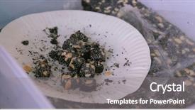  Presentation with traditional chinese funeral - Amazing presentation theme having cutting traditional chinese peanut snack backdrop and a gray colored foreground