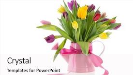  Presentation with cutting ribbon - Colorful slide deck enhanced with cutting yellow ribbon - watering can with colorful bouquet backdrop and a  colored foreground