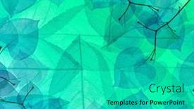  Presentation with skeletons - Cool new slides with cyan-color-leaves-skeletons-abstract backdrop and a teal colored foreground