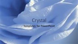  Presentation with blue flower - PPT theme with cyano-type-blue-print-reproduction background and a light blue colored foreground