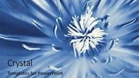  Presentation with reproduction - Audience pleasing PPT theme consisting of cyano-type-blue-print-reproduction backdrop and a teal colored foreground