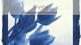  Presentation with reproduction - PPT theme enhanced with cyanotype photographic reproduction floral background and a cream colored foreground