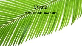  Presentation with palm tree - PPT layouts enhanced with cycas - green leaf of palm tree background and a yellow colored foreground
