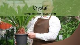  Presentation with nursing care plan - Amazing PPT layouts having cycas - male florist taking care backdrop and a seafoam green colored foreground
