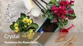 Presentation with beautiful flowers border floral design - Colorful slide set enhanced with cyclamen - beautiful flowers and gardener equipment backdrop and a coral colored foreground