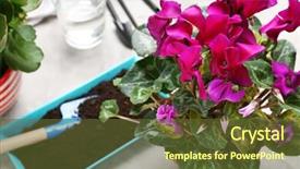 Presentation with beautiful flowers border floral design - PPT layouts consisting of cyclamen - beautiful flowers and gardener equipment background and a tawny brown colored foreground