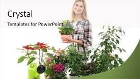  Presentation with white house - Beautiful theme featuring cyclamen - female florist with beautiful house backdrop and a white colored foreground