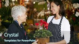  Presentation with helping - Theme consisting of cyclamen - florist helping senior female customer background and a wine colored foreground