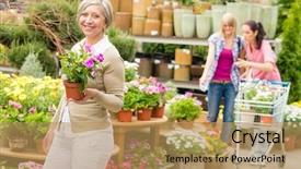  Presentation with hawaii flowers - Colorful PPT theme enhanced with cyclamen - senior lady shopping for flowers backdrop and a coral colored foreground