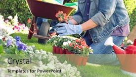  Presentation with garden - Slide deck featuring cyclamen - woman planting flowers in garden background and a mint green colored foreground