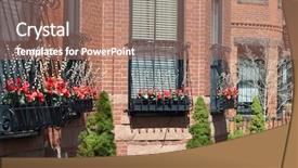  Presentation with decoration - PPT theme with cyclamen and pusy willow background and a coral colored foreground