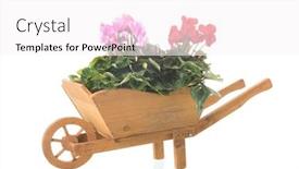  Presentation with isolated paw prints over white - Slide deck featuring cyclamen-in-wheelbarrow-isolated-over background and a white colored foreground