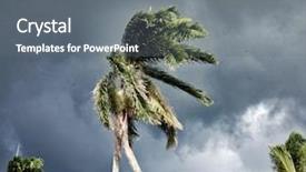  Presentation with cyclone - PPT layouts enhanced with cyclone - palm whipped by the wind background and a gray colored foreground
