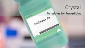  Presentation with microalgae - Theme with cyclotella-sp-microalgae-used background and a  colored foreground