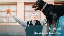  Presentation with police dog - Presentation theme with cynologist training service dog background and a ocean colored foreground