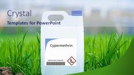  Presentation with livestock - Presentation design featuring cypermethrin-synthetic-pyrethroid-insecticide-used background and a sky blue colored foreground