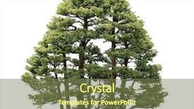  Presentation with grape vine - Cool new PPT theme with cypress - green grape leaf on vine backdrop and a tawny brown colored foreground