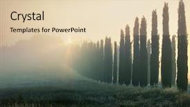  Presentation with tuscany - Amazing presentation theme having cypress alley in tuscany italy backdrop and a  colored foreground