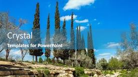  Presentation with scenic - Audience pleasing presentation design consisting of cypress-alleys-small-scenic-desert backdrop and a teal colored foreground