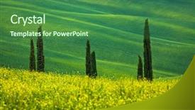  Presentation with rolling hills - Audience pleasing slide deck consisting of cypress trees against green rolling backdrop and a ocean colored foreground