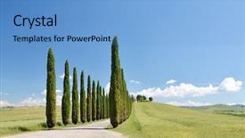  Presentation with rural road - Colorful PPT theme enhanced with cypress trees along winding rural backdrop and a light blue colored foreground
