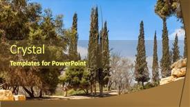  Presentation with israel - Slides consisting of cypresses-and-acacias-against background and a tawny brown colored foreground
