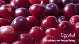  Presentation with frame - Slides enhanced with cystitis - close up of cranberries full background and a violet colored foreground