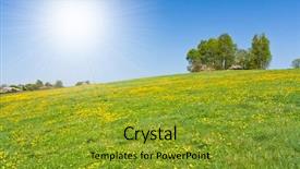  Presentation with farmland - Colorful presentation theme enhanced with czech nature - green farmland in the springtime backdrop and a gold colored foreground