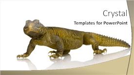  Presentation with background - Amazing presentation theme having dabb-lizard-in-front backdrop and a white colored foreground
