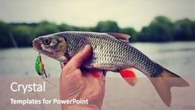  Presentation with plastic beads in water - Amazing PPT layouts having dace - chub caught on plastic lure backdrop and a coral colored foreground