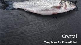  Presentation with graphite - Slide deck with dace - seabass fish on the graphite background and a dark gray colored foreground