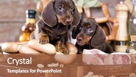  Presentation with food labeling - Theme enhanced with dachshund and dog food background and a red colored foreground