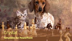  Presentation with cat dog - Cool new PPT theme with dachshund-and-kitten-play-chess backdrop and a tawny brown colored foreground